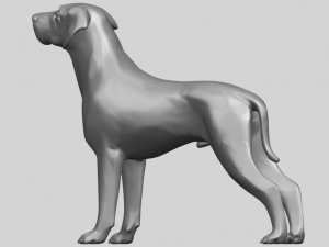 bull dog 06 3D Принт Модель