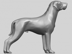 bull dog 06 3D Принт Модель