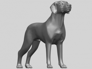 bull dog 06 3D Принт Модель