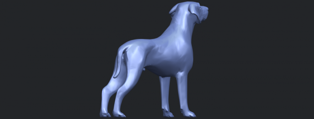 Download bull dog 06 3D Model