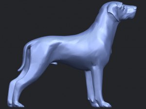 bull dog 06 3D Принт Модель