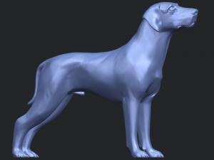 bull dog 06 3D Принт Модель