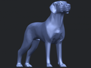bull dog 06 3D Принт Модель