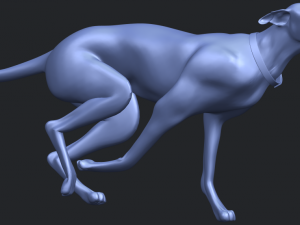 skinny dog 01 3D Принт Модель