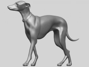 skinny dog 02 3D Print Model