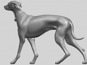 skinny dog 02 Model Cetak 3D