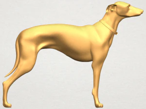 cane magro 03 Modello di stampa 3D