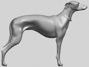 skinny dog 03 Model Cetak 3D