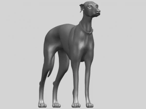 skinny dog 03 3D Print Model