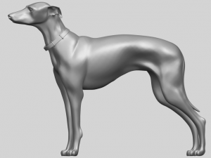 skinny dog 03 Model Cetak 3D