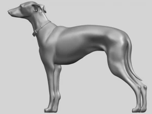skinny dog 03 3D Print Model