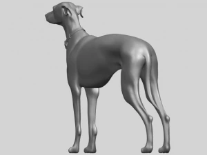 skinny dog 03 3D Print Model