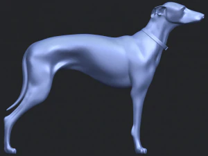 skinny dog 03 3D Print Model