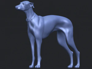 skinny dog 03 3D Print Model
