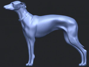 skinny dog 03 3D Print Model