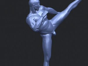 man kicking 3D Print Model