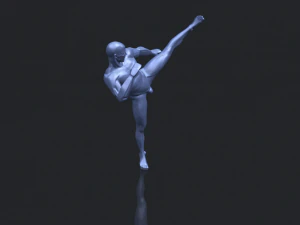 man kicking 3D Print Model