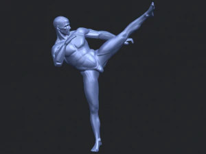 man kicking 3D Print Model