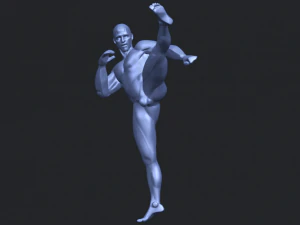 man kicking 3D Print Model