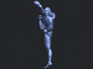 man kicking 3D Print Model