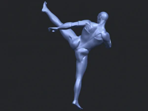 man kicking 3D Print Model
