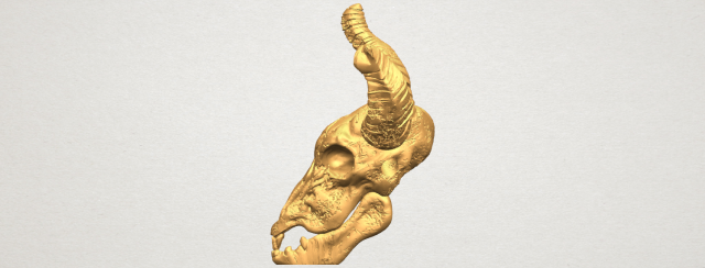 skull of goat 01 3D 프린트 모델 .c4d .max .obj .3ds .fbx .stl .blend 