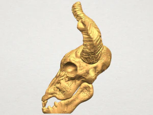 czaszka kozy 01 Model do druku 3D