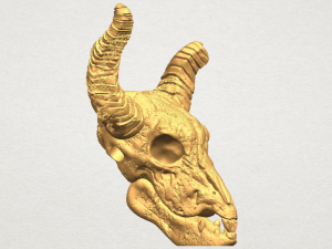 skull of goat 01 3D 프린트 모델