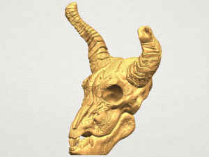 skull of goat 01 3D 프린트 모델