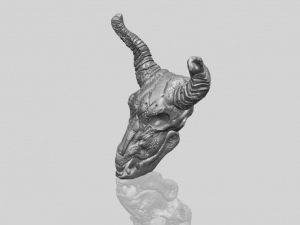 skull of goat 01 3D 프린트 모델