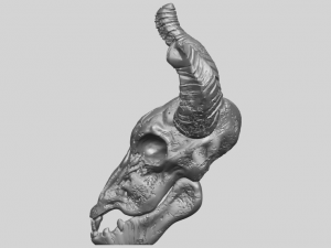 skull of goat 01 3D 프린트 모델