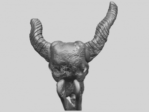 skull of goat 01 3D 프린트 모델