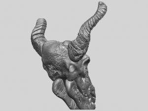 skull of goat 01 3D 프린트 모델