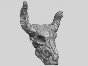 skull of goat 01 3D 프린트 모델
