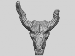 skull of goat 01 3D 프린트 모델