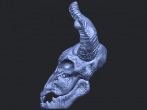 skull of goat 01 3D 프린트 모델