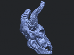 skull of goat 01 3D 프린트 모델