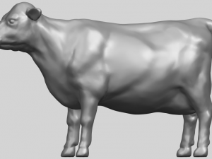 cow 3D-printmodel