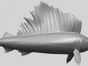 swordfish 01 Modèles 3D en vedette
