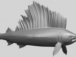 swordfish 01 Modèles 3D en vedette