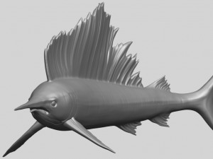 swordfish 01 Modèles 3D en vedette