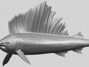 swordfish 01 Modèles 3D en vedette