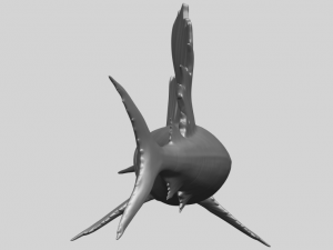 swordfish 01 Modèles 3D en vedette