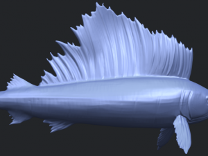 swordfish 01 Modèles 3D en vedette