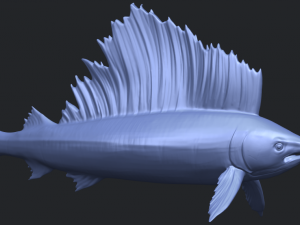 swordfish 01 Modèles 3D en vedette