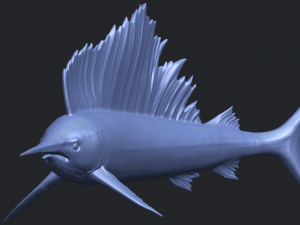 swordfish 01 Modèles 3D en vedette