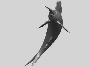 swordfish 02 3D-Druckmodell