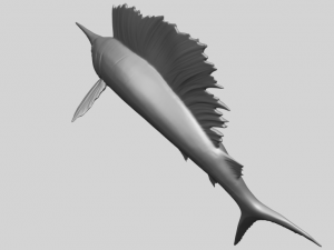 swordfish 02 3D-Druckmodell