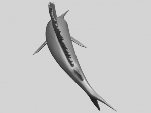 swordfish 02 3D-Druckmodell