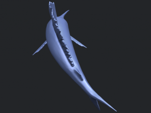 swordfish 02 3D-Druckmodell